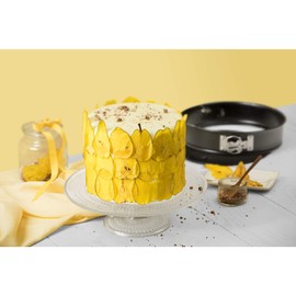 Original Kaiser Classic Springform 30 cm rund, Flachboden, runde Backform antihaftbeschichtet, Kuchenform auslaufsicher, schwarz