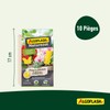 Algoflash Naturasol Yellow Traps - 10 Stickers