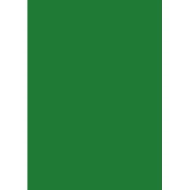Brunnen 105125059 Universal Paper A4 50 Sheets 80 g/m² Dark Green