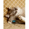 CattyMan Cat Cat Ball Play Karafuru