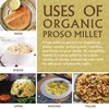 Jiva Organics Proso Millet 2 LB Bag | Whole Grain,