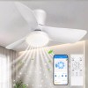Acesal 30 Inch Ceiling Fan with Light APP & Remote