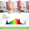 Dekang 8-Pack LED Vanity Light Bulbs for Bathroom 4000K Natural