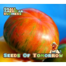 Seeds Of Tomorrow 15 Solar Flare Wild Boar Tomato Seeds- With Bonus! |Organic Non-GMO Heirloom