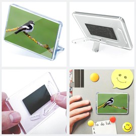 Classic Rectangle Magnet with Stand - Pied Flycatcher Bird Nature Wildlife - Fridge Locker Office Whiteboard Toolbox #51668