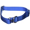 PetSafe Martingale Dog Collar, Alternative to Choke Collar