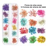 Flores Para Uñas Naturaleza Muerta Uñas Dijes Para Uña 2caja
