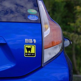 Car Stickers, Cat In Home