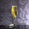 bar@drinkstuff Essence Champagne Flutes 7.7oz / 220ml - Pack of