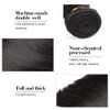 SHL #1B ST Human Hair Bundles 20 Inches