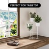 Sumerflos Acrylic Corner Plant Stand 3 Tier - Clear Indoor