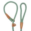 Soft Paracord Rope Slip Lead Dog Leash, Slip Leash for