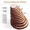Fuyit Natural Wood Slices, 30 Pcs 3.1-3.5 Inch Unfinished Predrilled