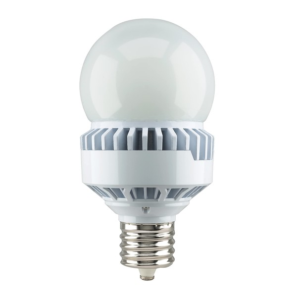 Satco S13109 Medium Light Bulb Finish, Frosted White