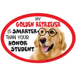 Prismatix Decal Golden Retriever Car Magnets: My Golden Retriever is Smarter Than Your Honor Student - Oval 6" x 4" Auto/Truck/Refrigerator/Mailbox (Funny Car Decals, Dog Magnet, Golden Retriever)