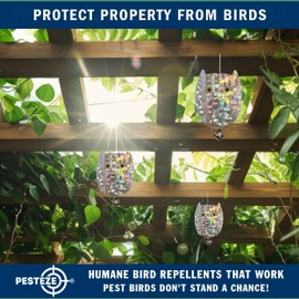 PESTEZE 4 Pack Holographic Shiny Owl Bird Repellents with Bell [3.5 x 5 inch] Reflection Scares Pest Birds Like Woodpeckers, Sparrows, Pigeons, Crows & Gulls Without Harming Them to Protect Property