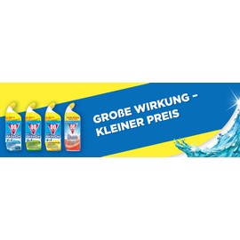 00 null null 00 null null flüssiger WC Reiniger, Urinsteinentferner und Entkalker extra stark, 1er Pack, 750 ml