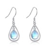 SHEAISRS Moonstone Earrings for Women Teardrop Drop Dangle Earrings 925