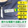 Beginner Mark Clip Pin Badge Wakaba Mark 1.1 x 1.6