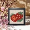 FREEBLOSS 9.4 x 9.4 inch Strawberry Punch Needle Starter Kits.