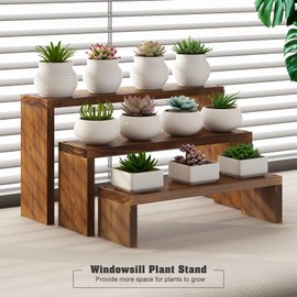 Tovacu Plant Stand Shelf for Desk Window Sill Countertop Succulent Stand Desktop Shelf 3 Tiers Small Wooden Tabletop Ladder Plant Shelves for Cupcake Stand Riser Spice Rack Holder
