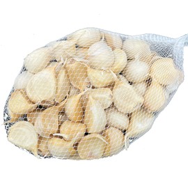 Garlic, Rose, Produced in Aomori Prefecture, 17.6 oz (500 g), Fukuji White 6 Seeds, Aomori Garlic