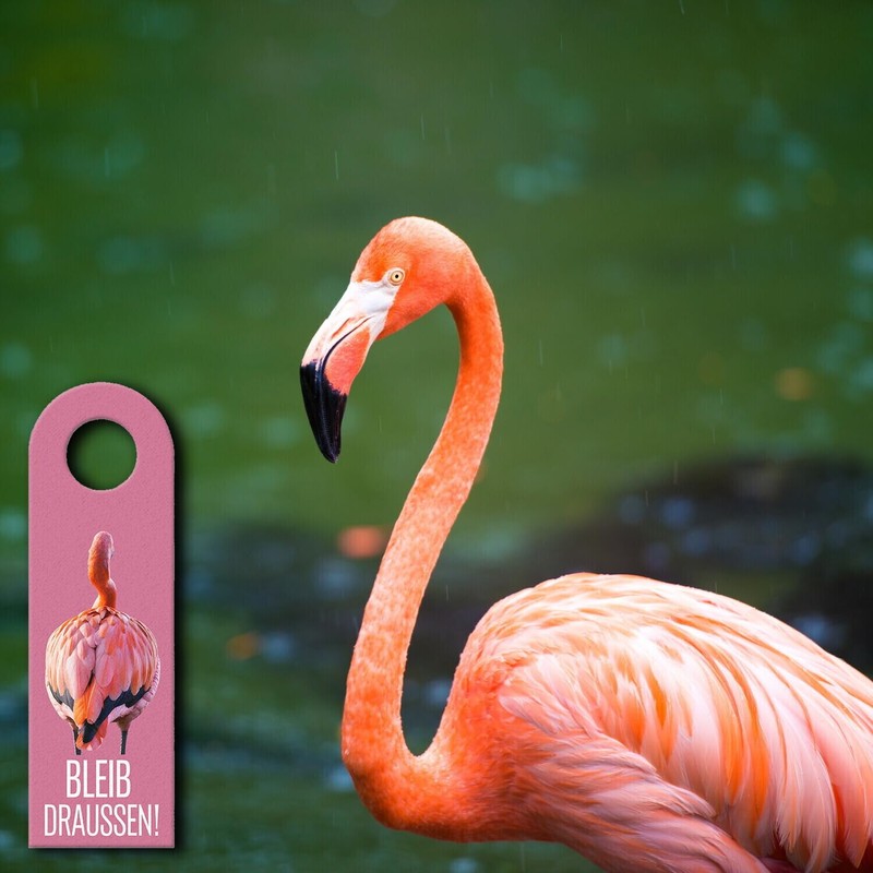 Bleib draußen Komm rein - Flamingo Door Hanger Funny Door