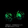 Women's Firefly Glass Earrings, Luminous, Titanium, Dragonfly, Okinawa, Souvenir, Accessory,