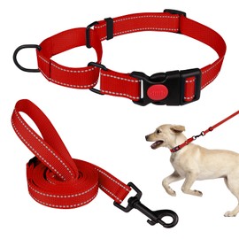 Martingale Dog Collar and Leash Set Martingale Collars for Dogs Reflective Martingale Collar for Small Medium Large Dogs(Red&S)