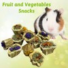 BNOSDM Hamster Chew Treats Chinchilla Natural Fruit and Vegetables Snacks