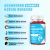 Sijigood Ashwagandha Gummies with L-theanine, Ashwa Root Supplement Gummy for