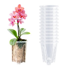 pavtner Orchid Pot 12 Pack 3.9 Inch, Orchid Pots with Holes, Plastic Clear Orchid Pot for Repotting, Flower Plant Pot Indoor Outdoor