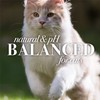 Burt's Bees for Cats Hypoallergenic Shampoo With Shea Butter &