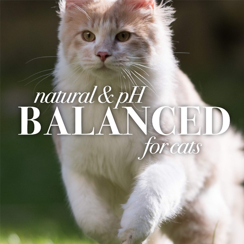 Burt's Bees for Cats Hypoallergenic Shampoo With Shea Butter &