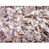 3 lbs (About One Gallon) Blue/White/Purple Coquina Shells Seashells (About