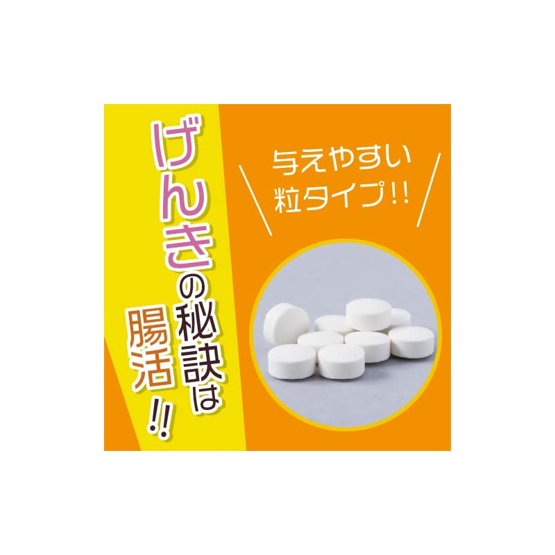 Pet Lactic Acid Bacteria Supplement Zoom with Proteoglycan (1)