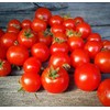 Florida Petite Red Micro Dwarf Tomato Premium Seed Packet