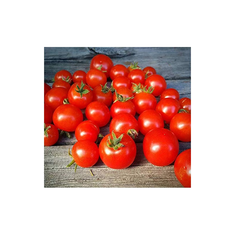 Florida Petite Red Micro Dwarf Tomato Premium Seed Packet