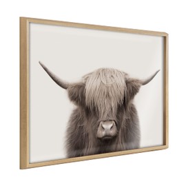 Kate and Laurel Blake Hey Dude Highland Cow Color Framed Printed Acrylic Wall Art by The Creative Bunch Studio; 24x32 Natural; Decorative Farmhouse Wall Décor