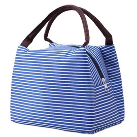 Lunch Bag (Blue)