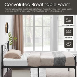 Treaton 1-inch Soft Foam Toppers with Orthopedic Benefits | Provides Proper Back Support and Relieves Pain, Extends Mattress Topper Life, Improves Better Posture, King, Green