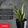 Kadax Decorative Flower Pot, for Flowers and Plants, with bottom