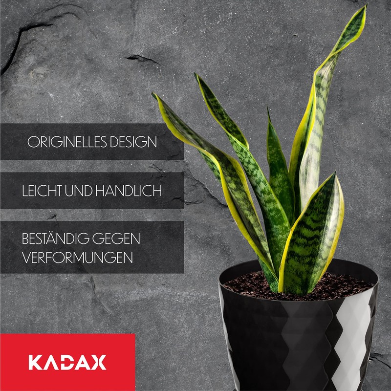 Kadax Decorative Flower Pot, for Flowers and Plants, with bottom