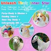 12 Pack Dog Hair Color Dye Temporary Non-toxic Vibrant Colors