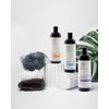 Shea Radiance African Black Soap Body Wash - Dry Skin,