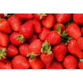250 Seeds Strawberry Seeds, Non GMO for Hydroponics, Aquaponics, Raised Bed, Indoor, Outdoors, in Pots