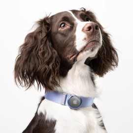 BuddyArmor Dog Collar and Airtag Holder Set - Heavy Duty But Lightweight Dog Collar with Quick Release Alloy Buckle, Adjustable Airtag Dog Collar for Small Medium Large Dogs (Linen, S)