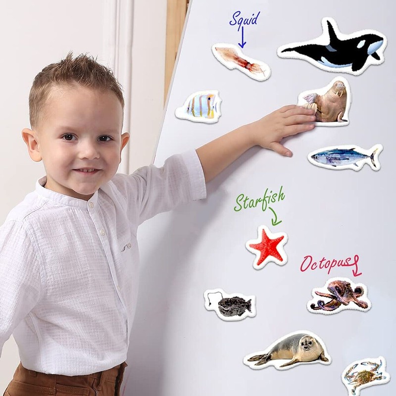 Magdum Fridge Magnets for Toddlers - 30 SEA Photo Kids