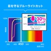 Sanwa Supply CRT-PFNG160W 16" Wide (16:10) Privacy Filter