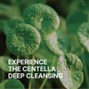 PROOT - Aceite limpiador de centella | Limpiador con aceite